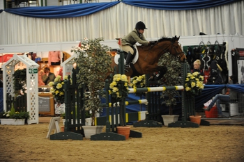 Staffordshire Showjumper Lydia Parrott takes the Haygain Hay Steamers Diamond Final as her own